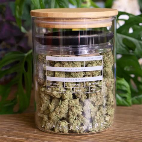 little metal boxes in my weed|14 Best Weed Jars and Storage Containers for Weed in 2024.